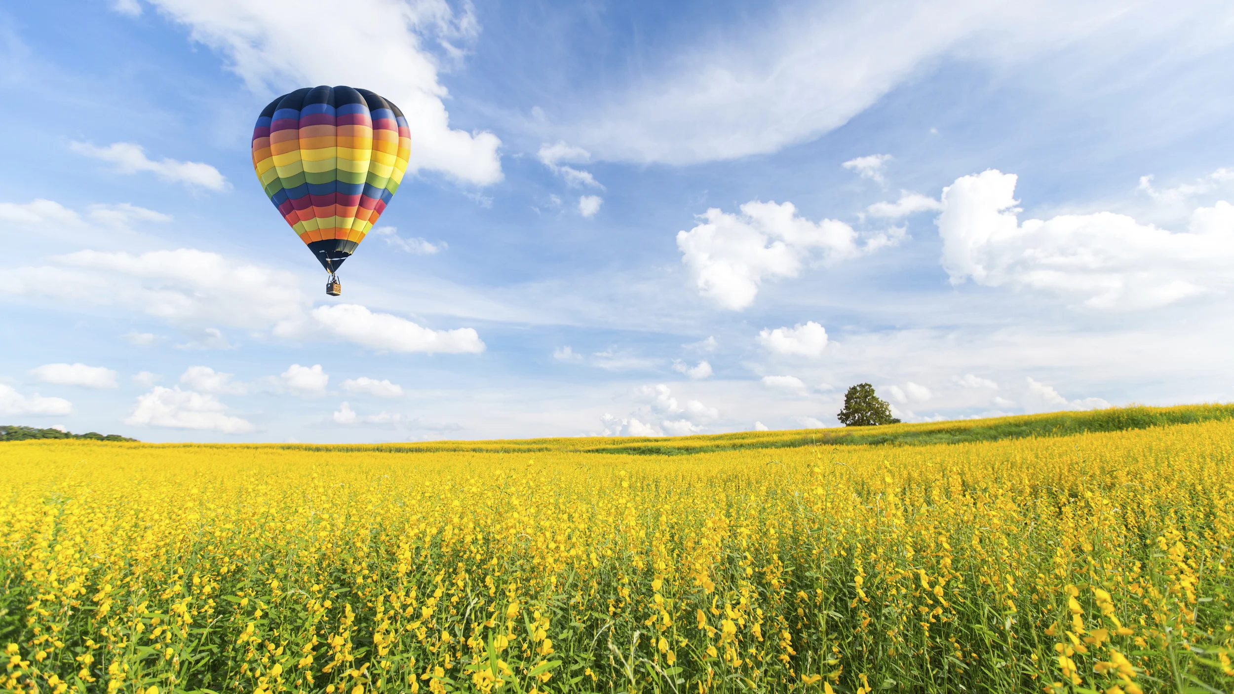 Tips for Horizon Leaders