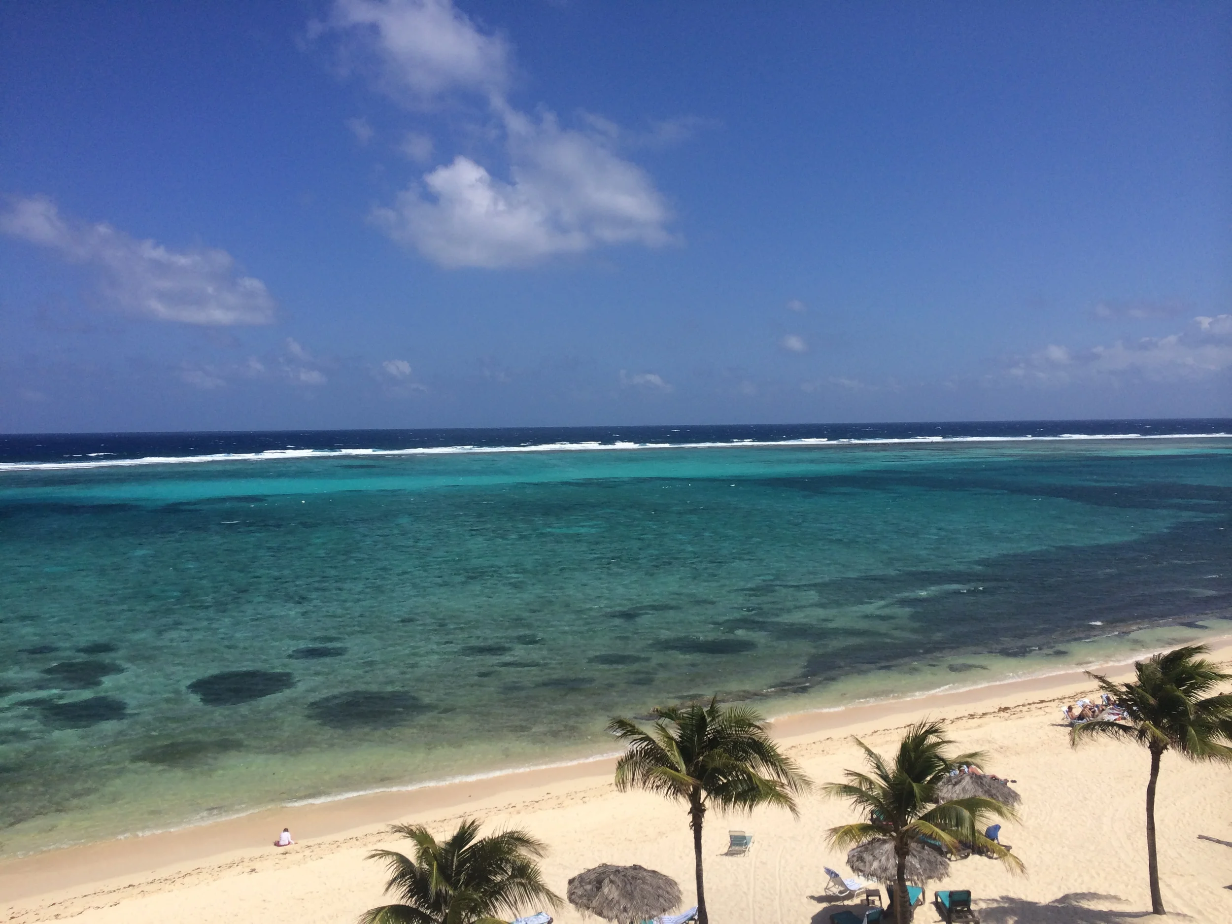 The Balcony View