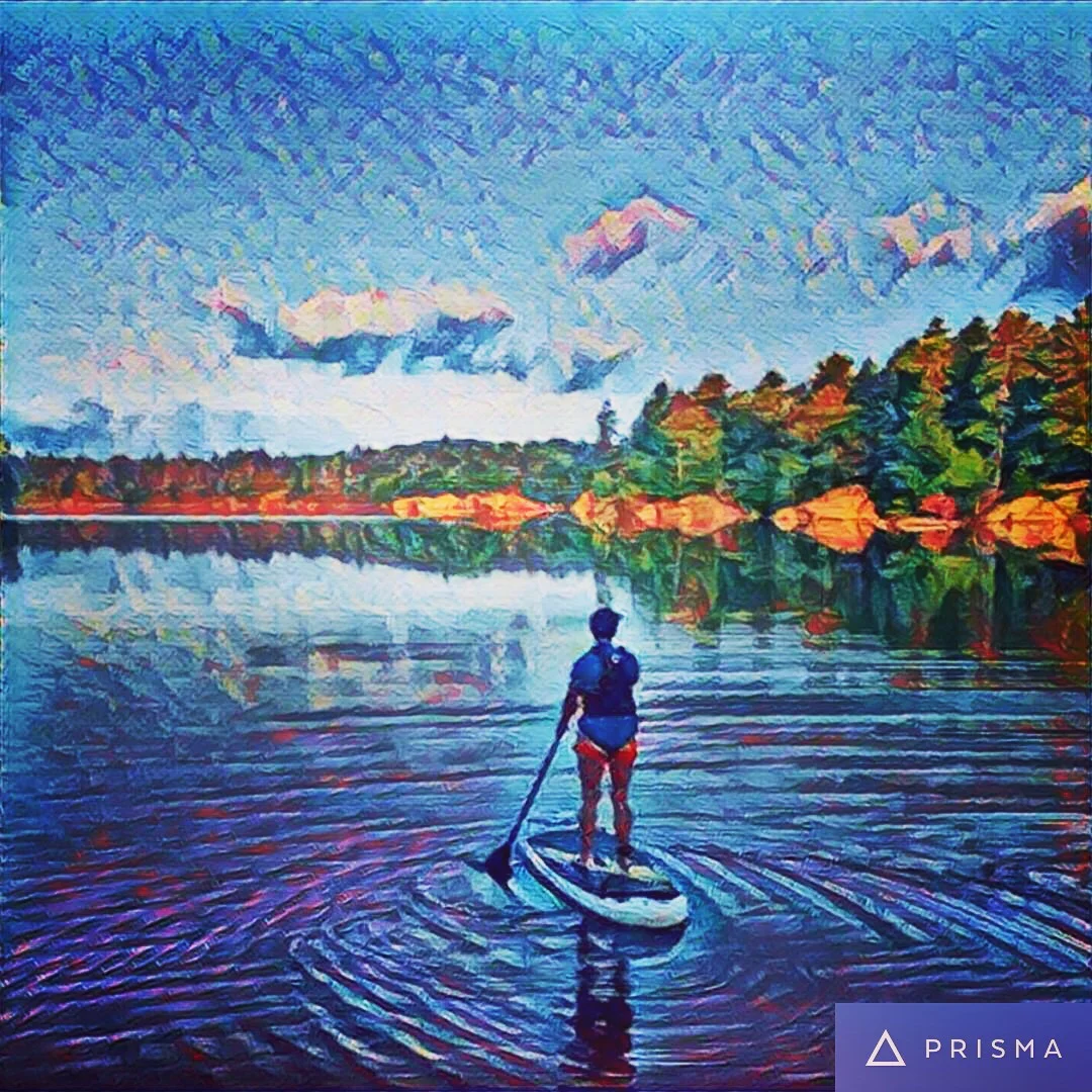 Cultivating Creativity