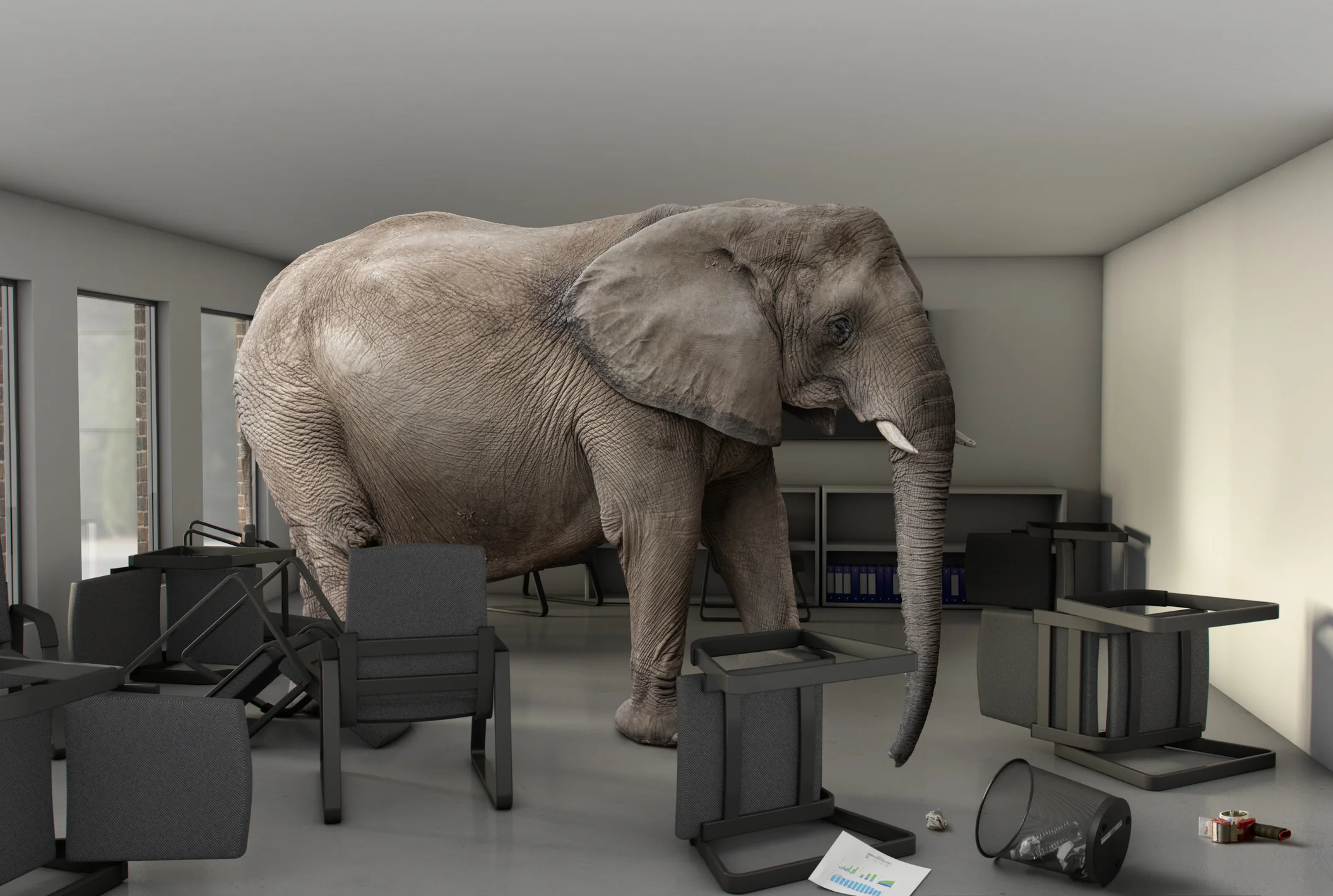 Embracing the Elephant in the Room