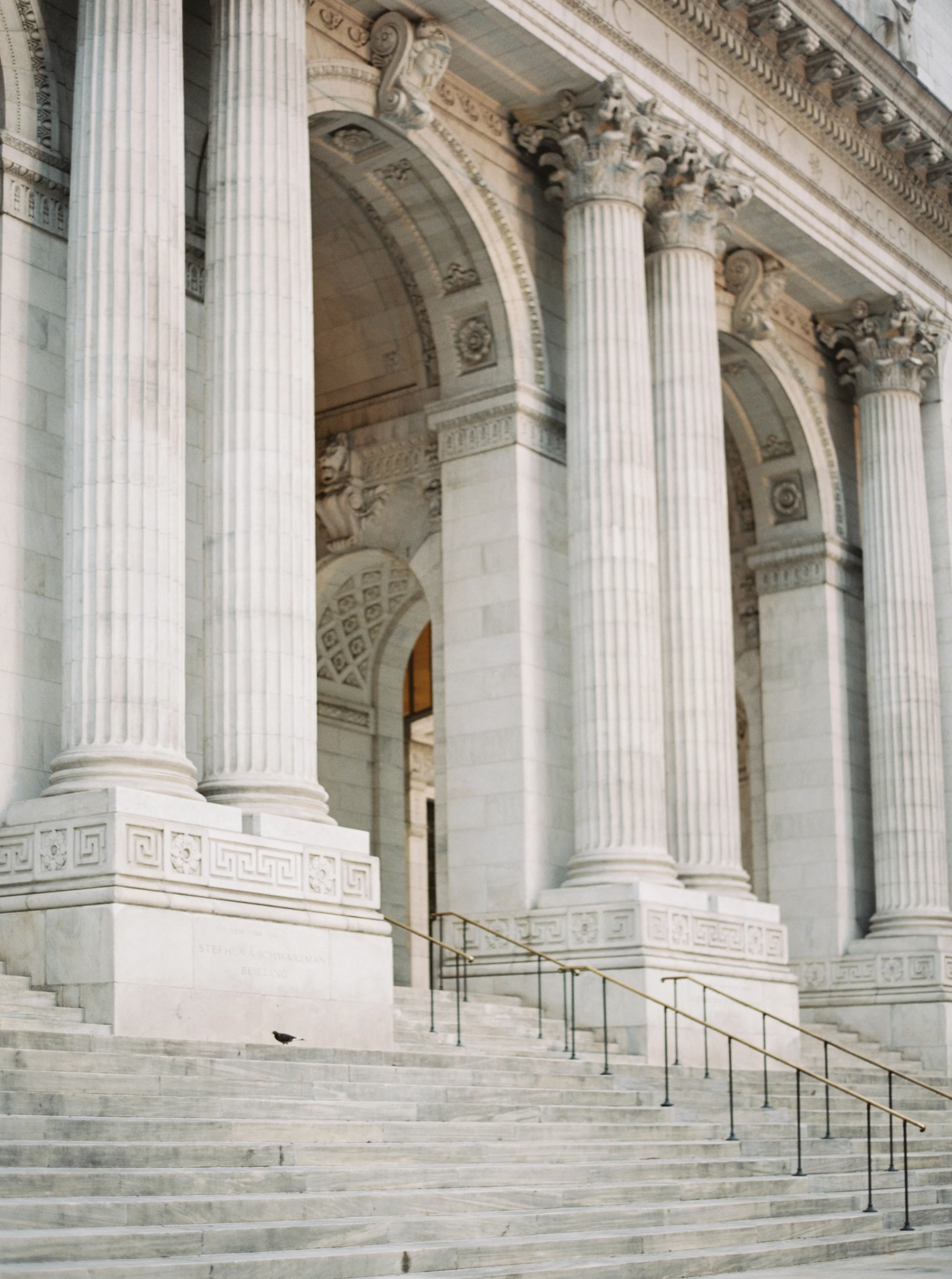 NYC_Library_JulieCate-65.jpg