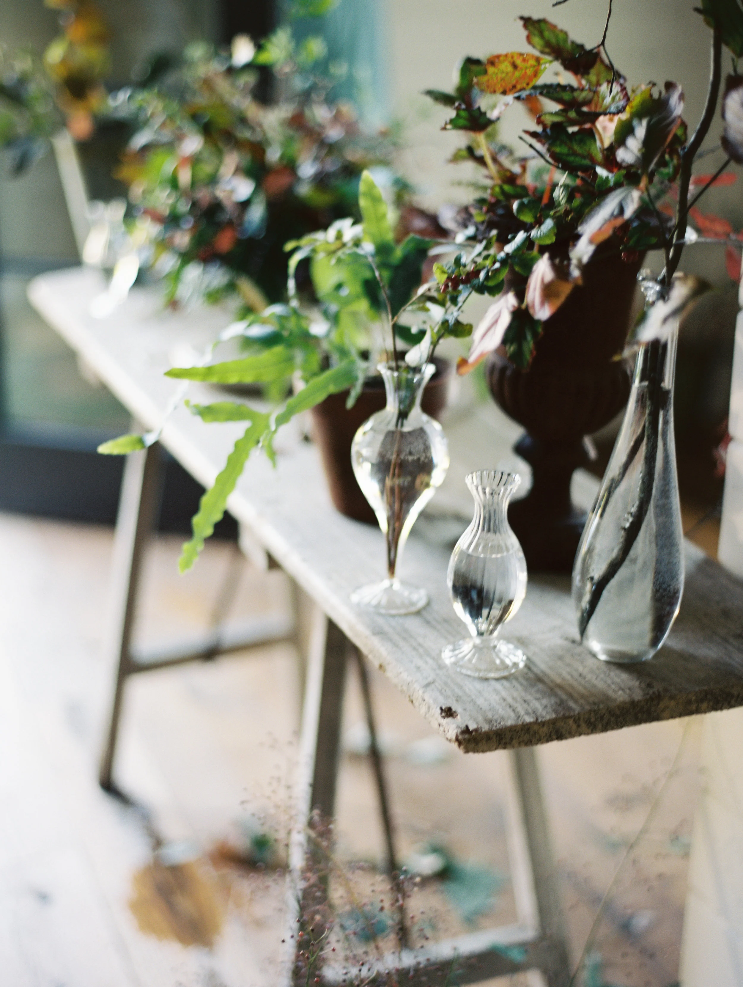 JulieCate_Floral18.jpg