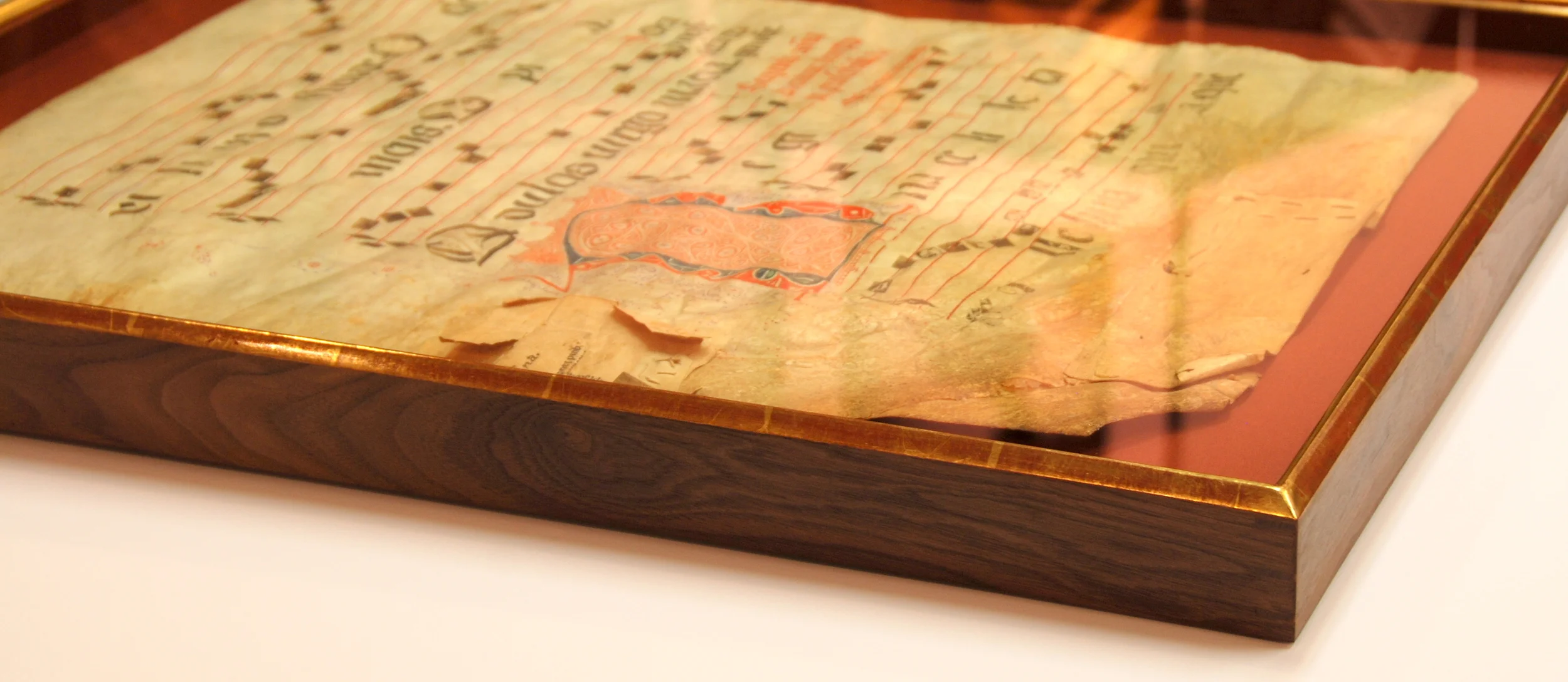 calf vellum.jpg