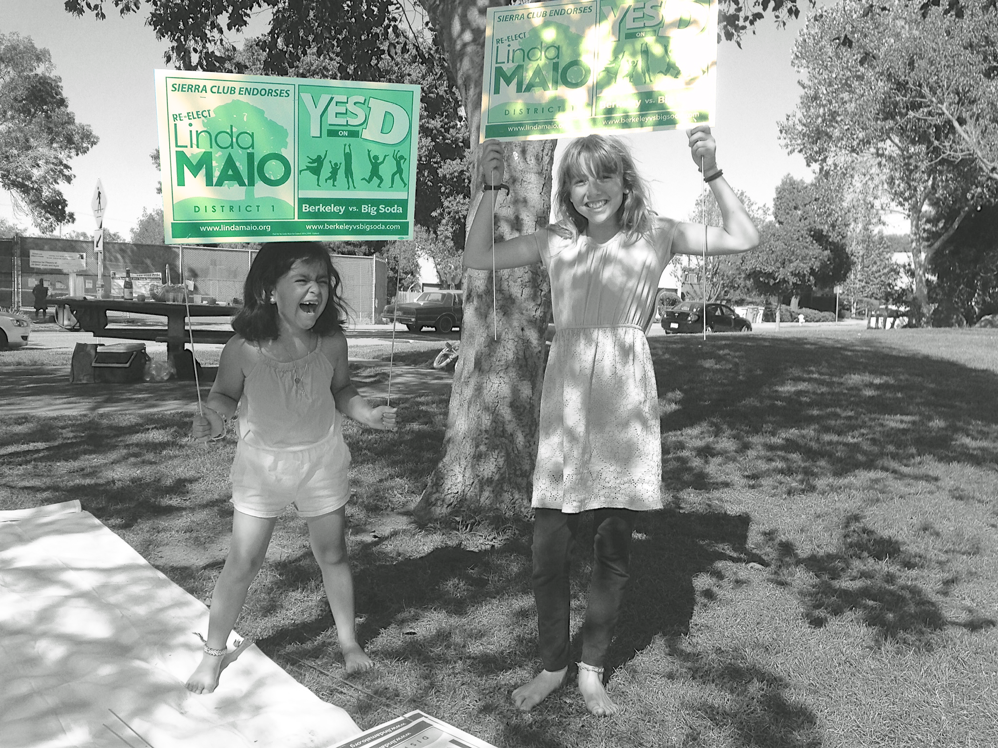 yardsignkids.png