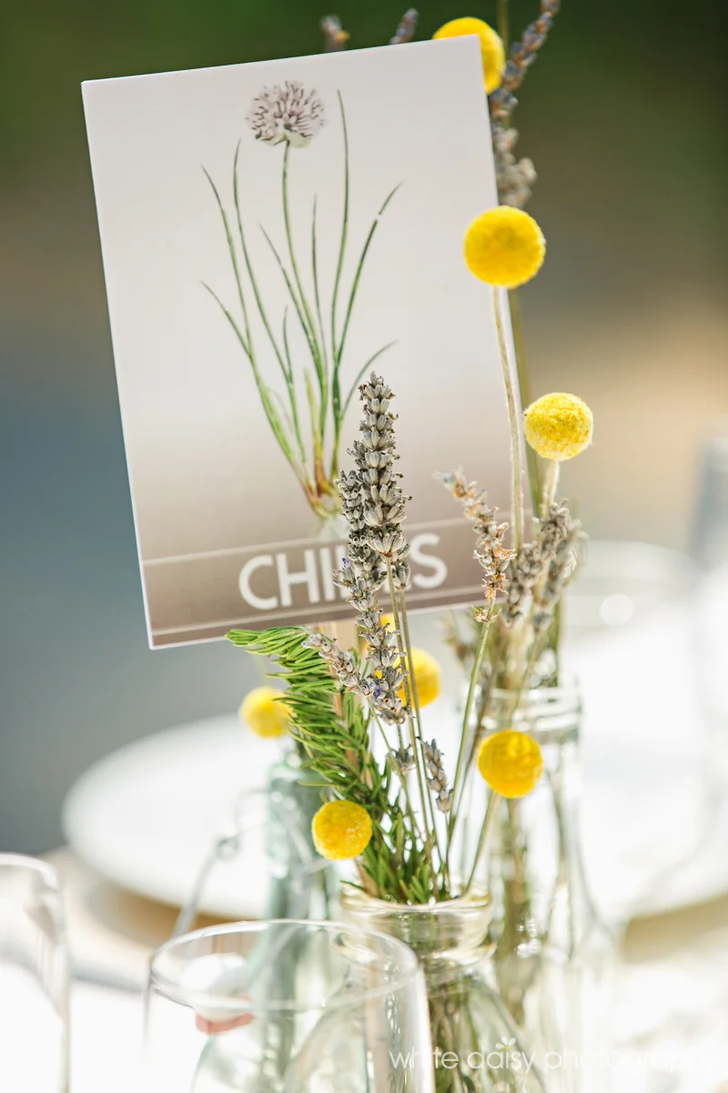 chives.jpg
