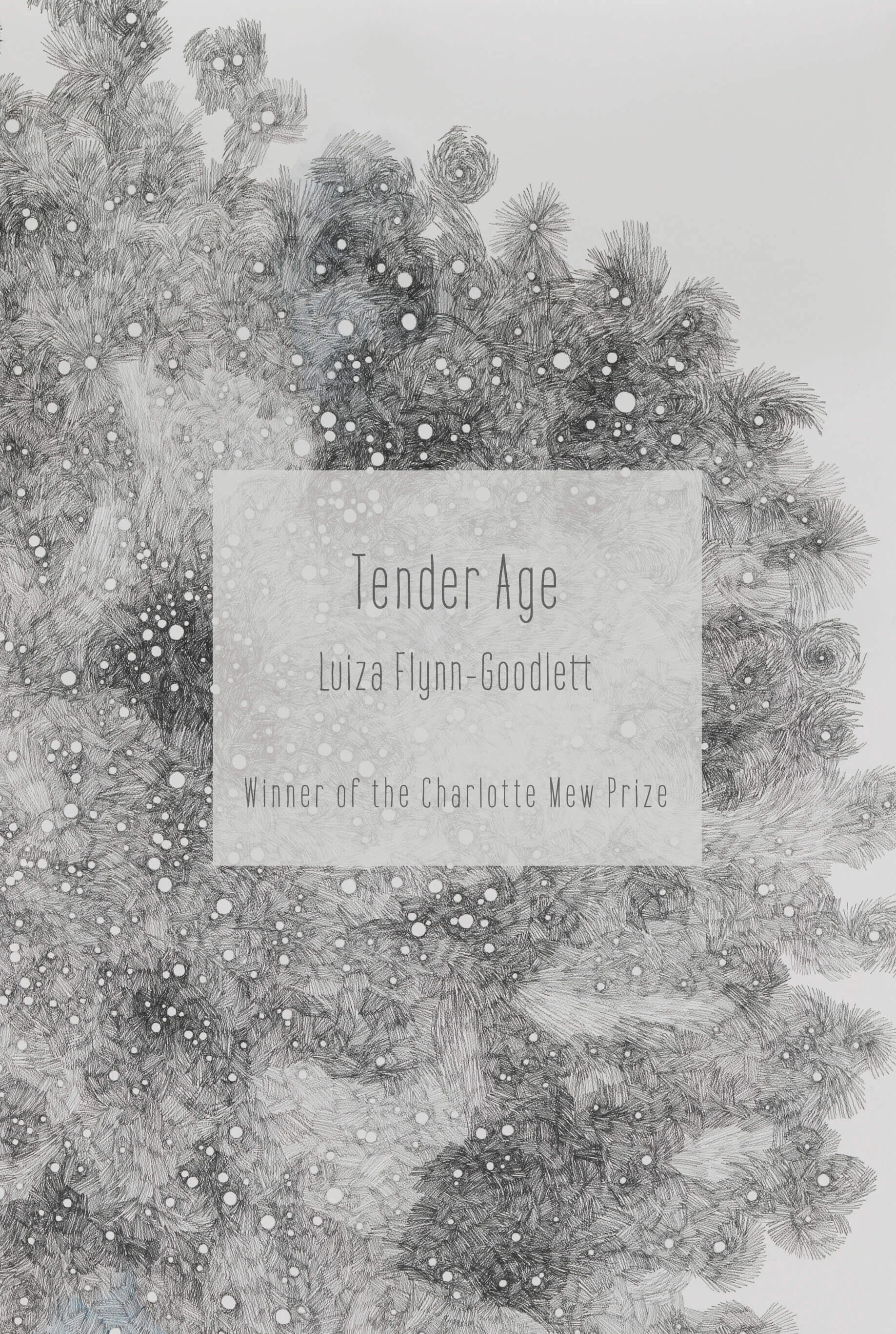 Tender Age Cover—small.jpg