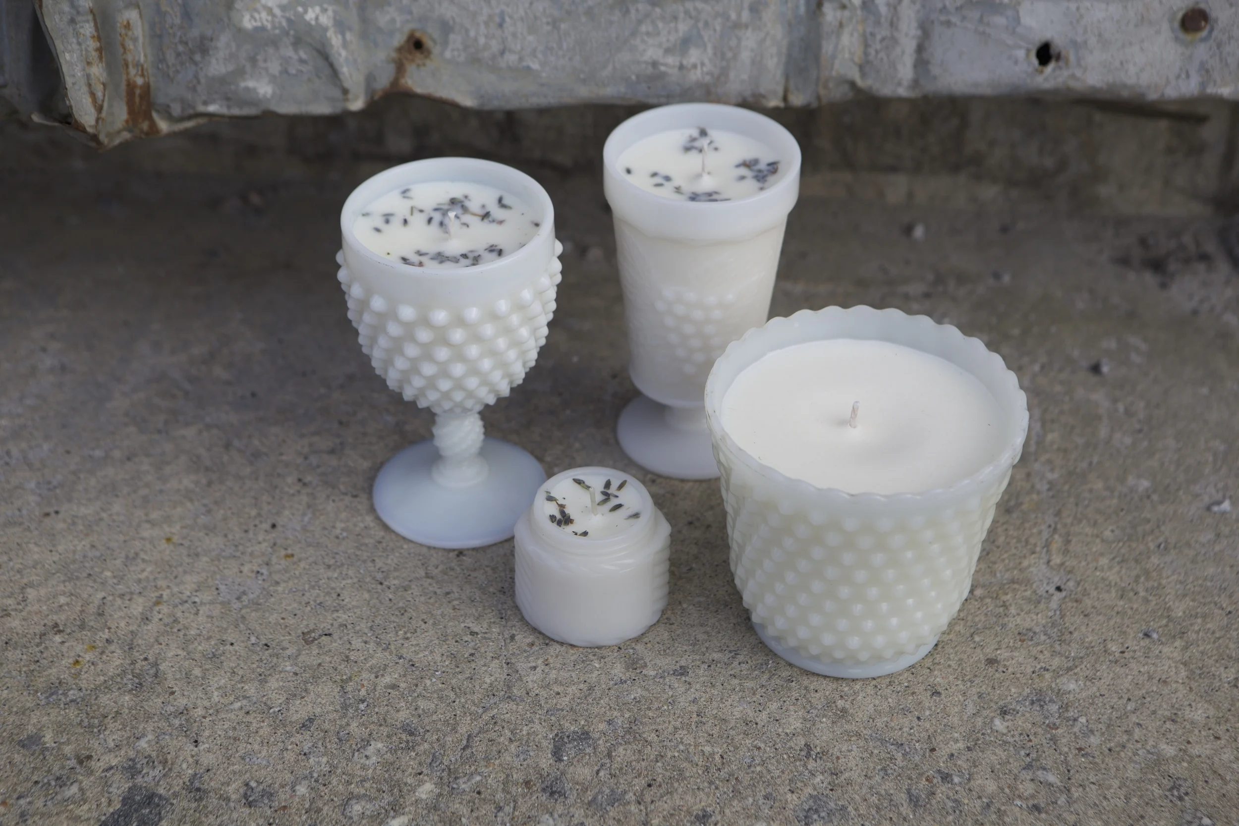 lavender on concrete group.jpg