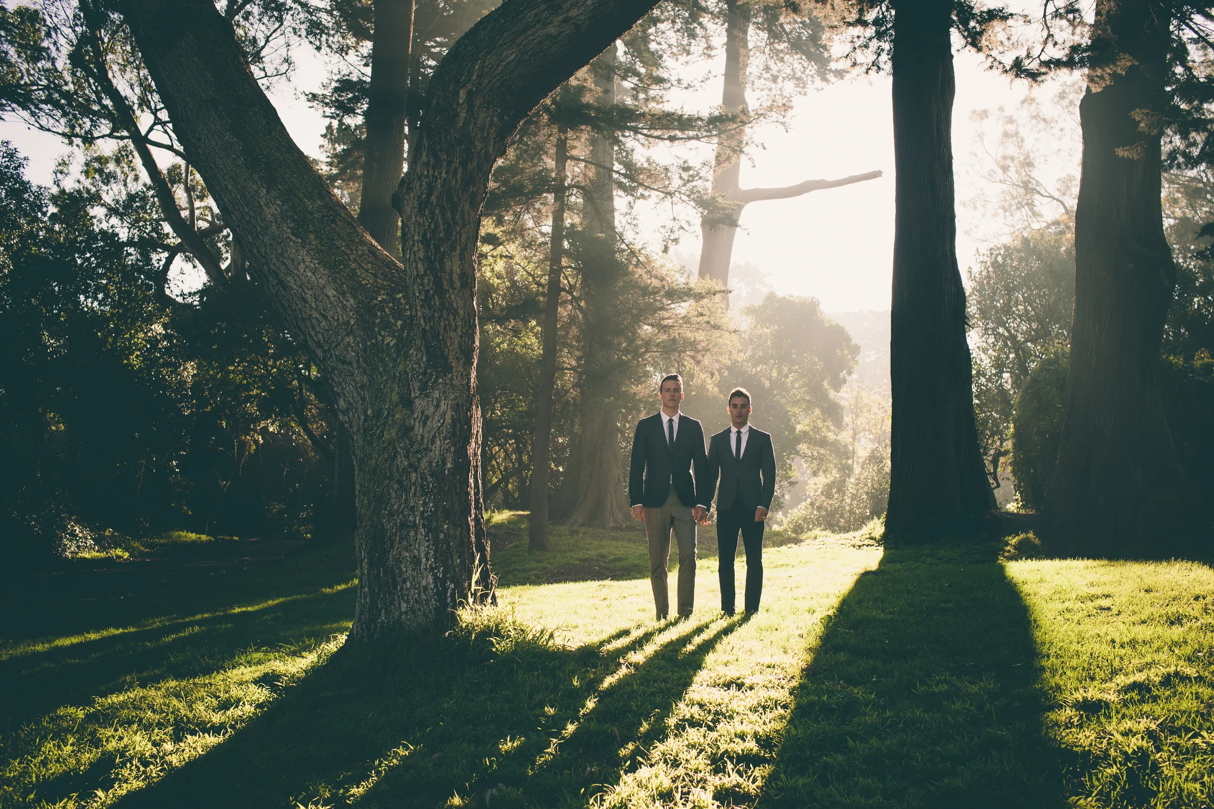 Hi Res STD Image.jpg