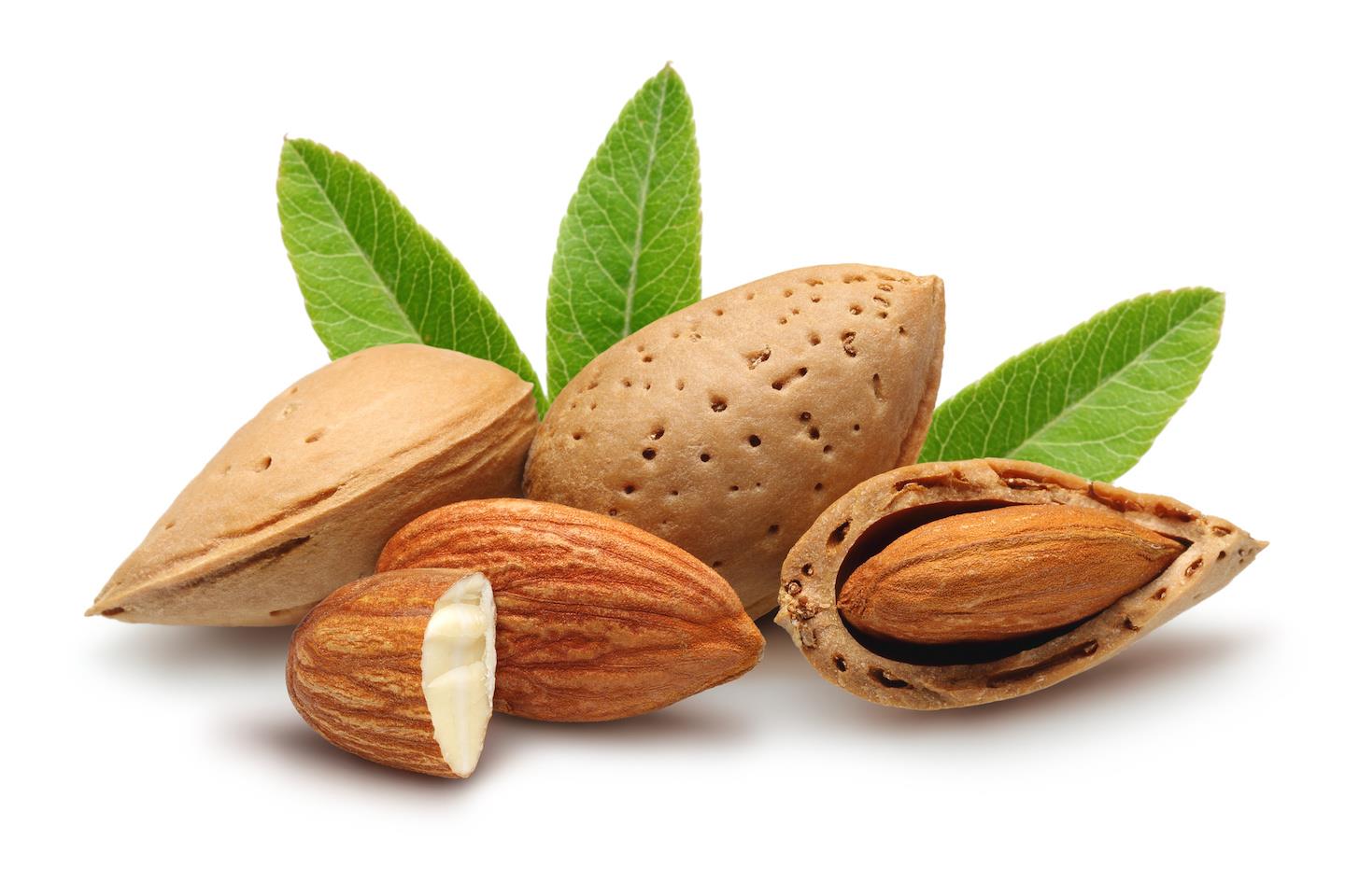 SWEET ALMOND (Prunus Amygdalus dulcis) OIL