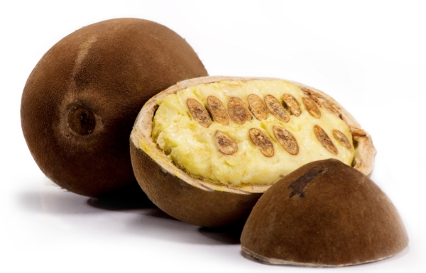 CUPUAÇU (Theobroma grandiflorum) BUTTER