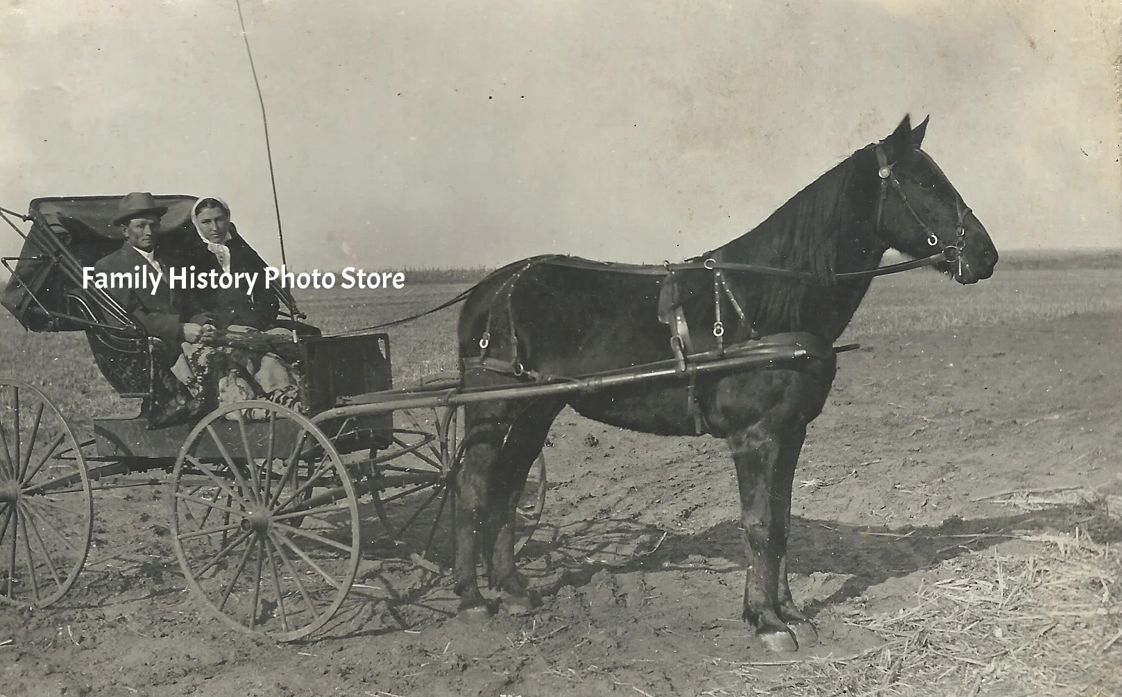 Essie L (Cornelius) Harrel