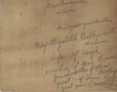 Mary Elizabeth (Postelwaite) Wilson