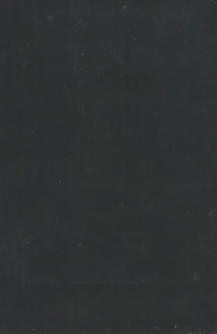 DL-150300496-B.jpeg