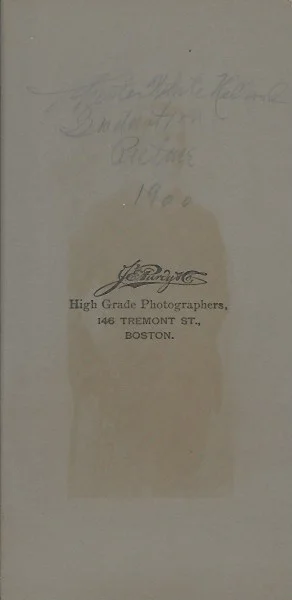 Chester White Holland