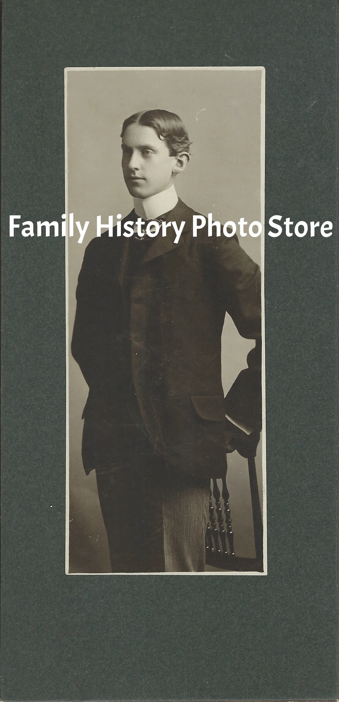 Chester White Holland