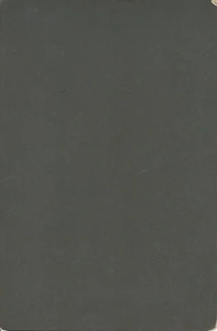 James Homer Castleberry