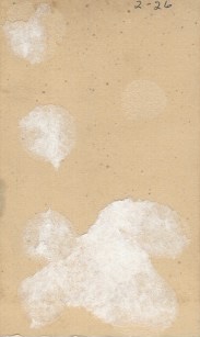 Emily Elizabeth (Weldon) Bowker