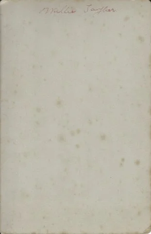 Willis Howe Taylor