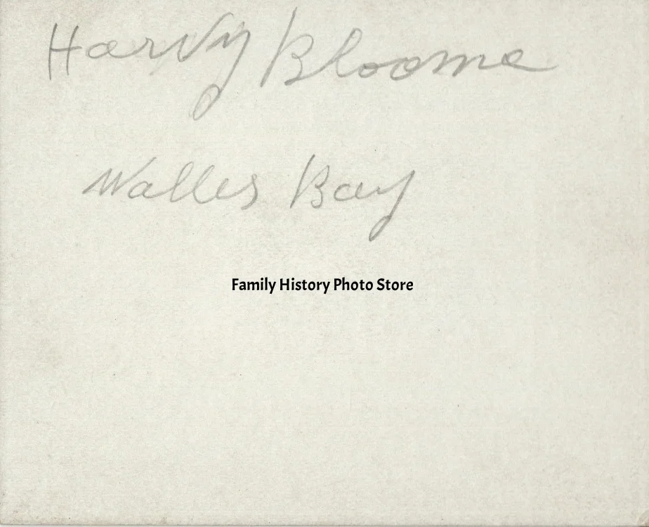 Harvey Bloomer
