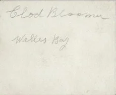 Claude Gilbert Bloomer