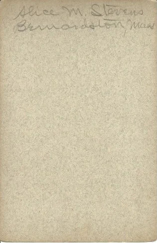 Alice M (Persons) Stevens