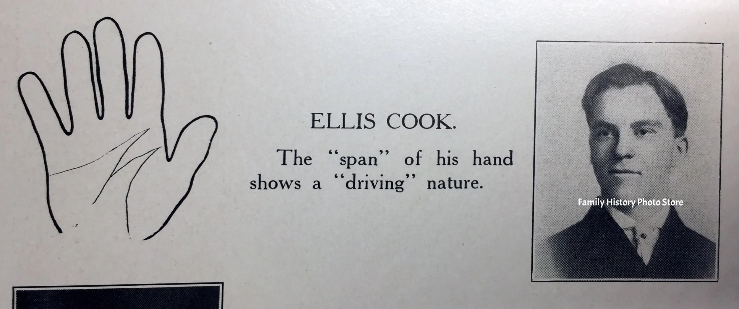 Ellis Ray Cook
