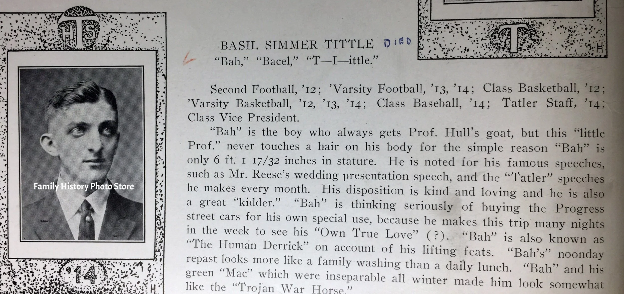 Basil Simmer Tittle