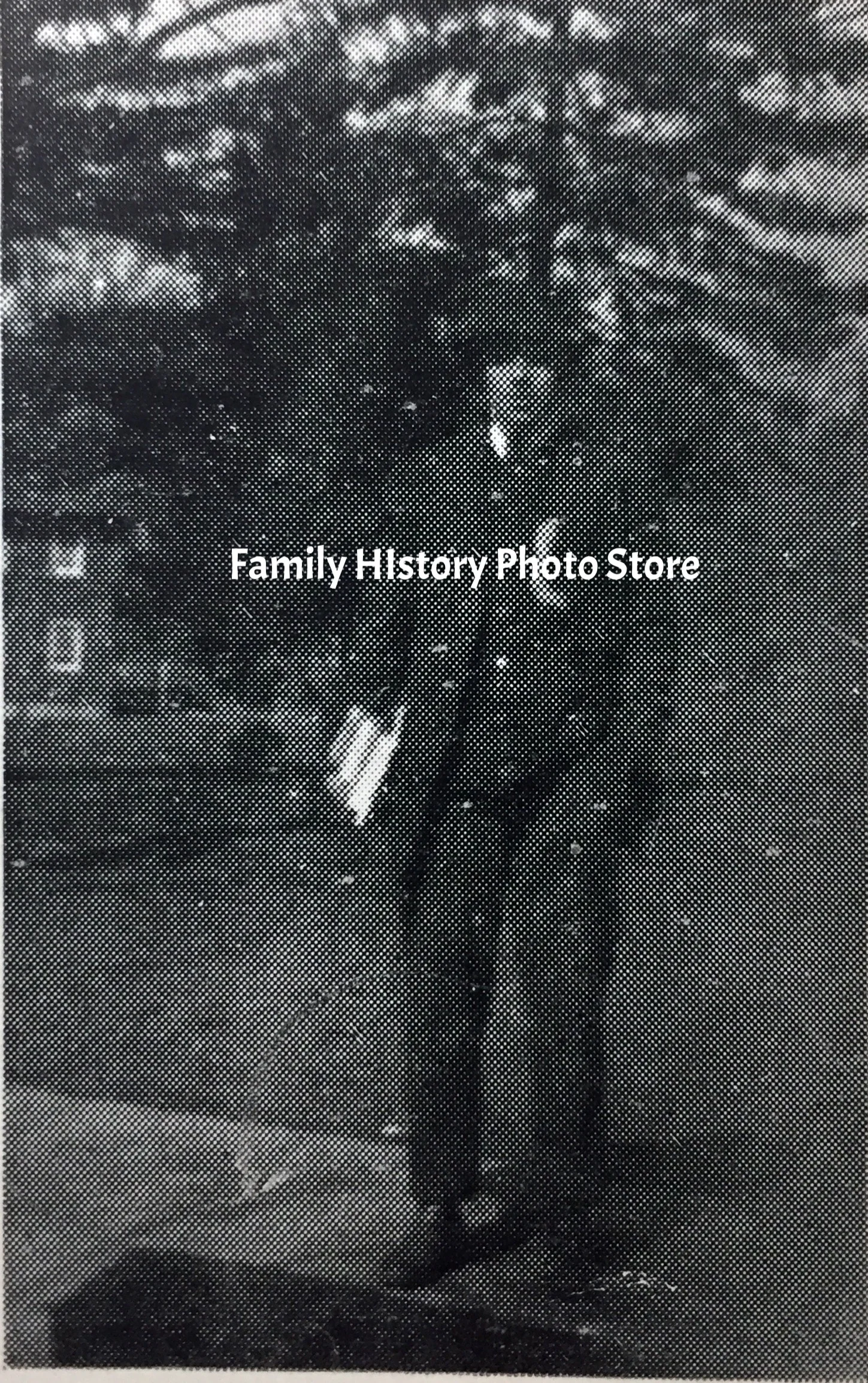 Francis Whitmer Atkinson