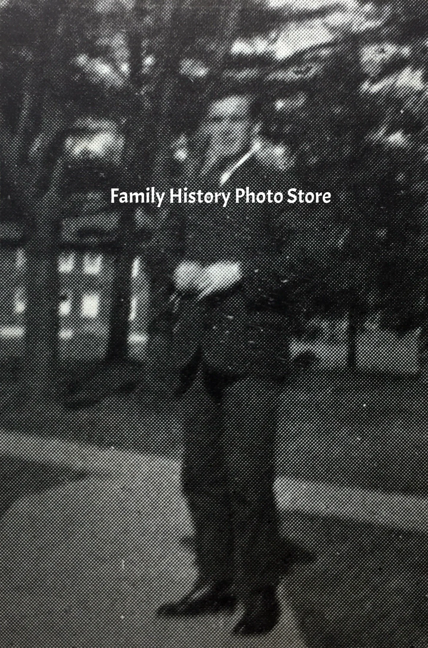 Ellwood Zavitz Way