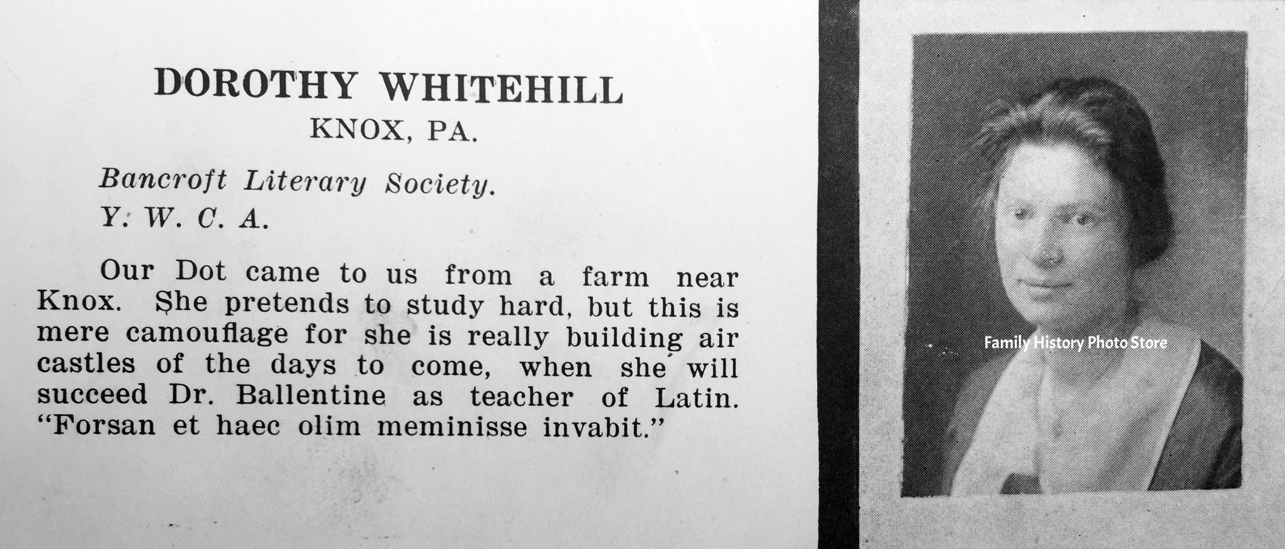 Dorothy E Whitehill