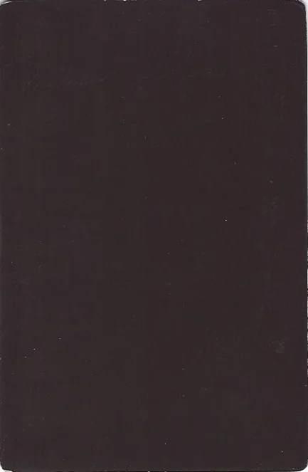 William Vernon Gibson