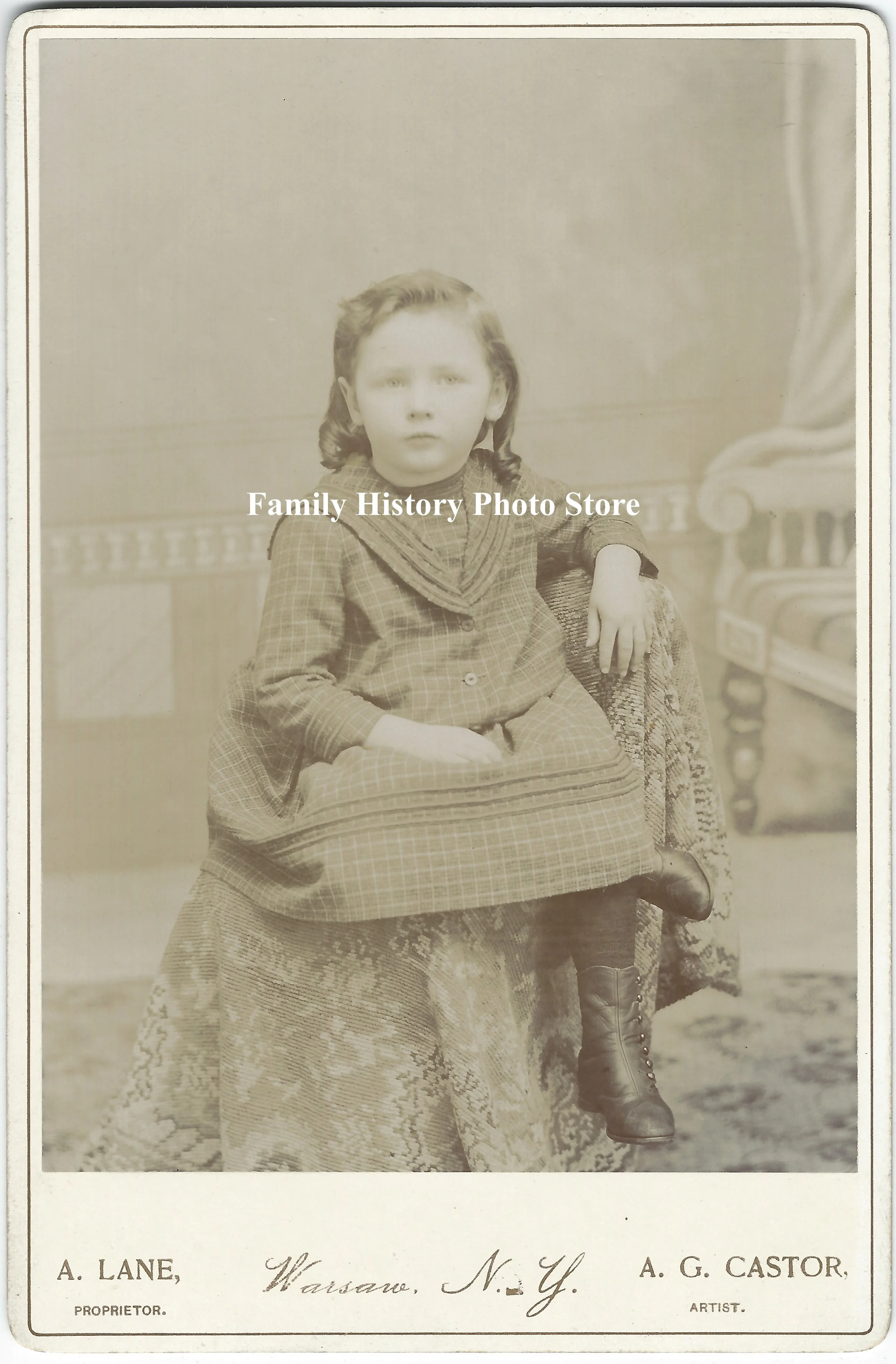 Alton Egbert van Slyke