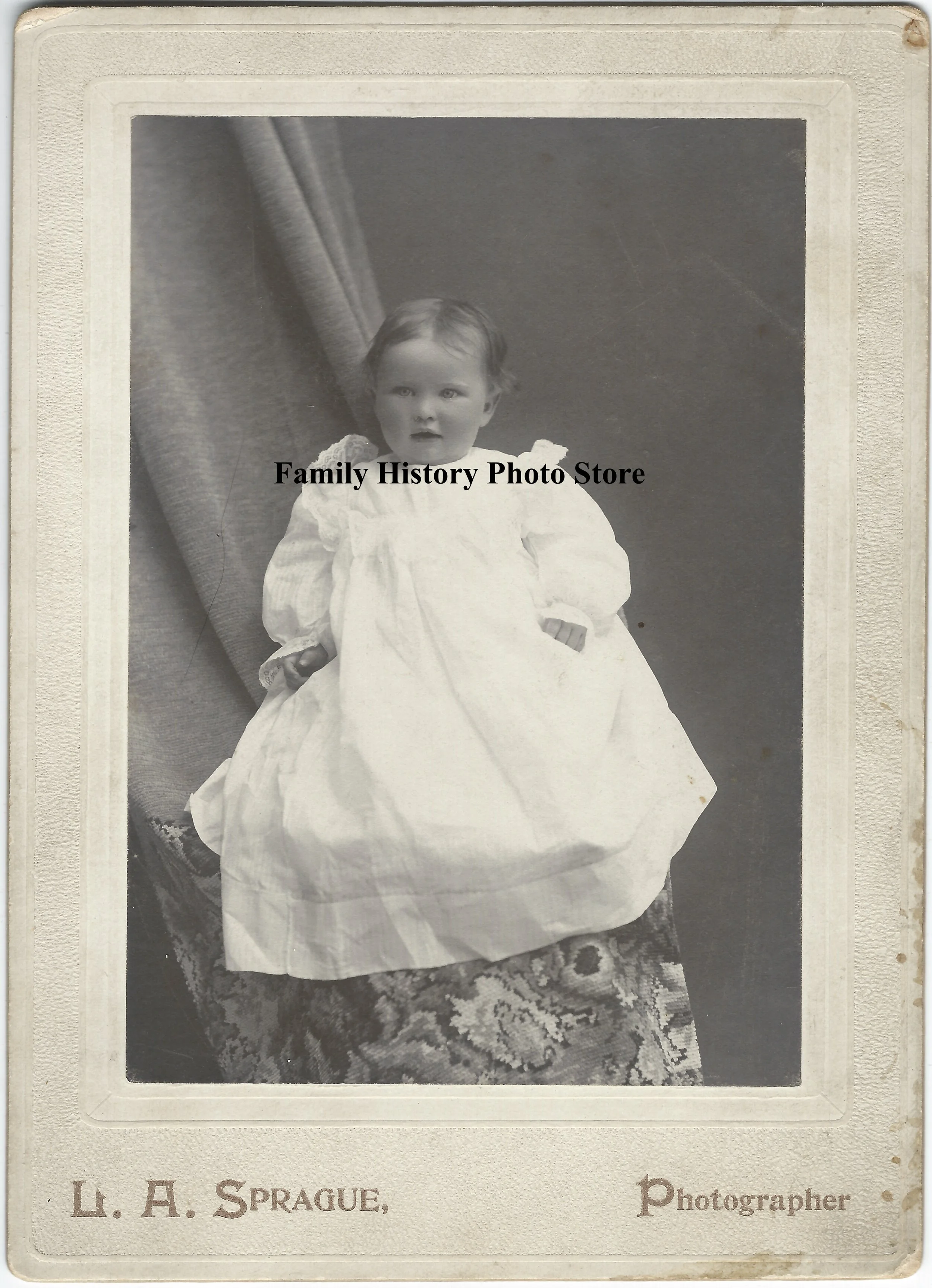 Frances Manila (Jessen) Tenney