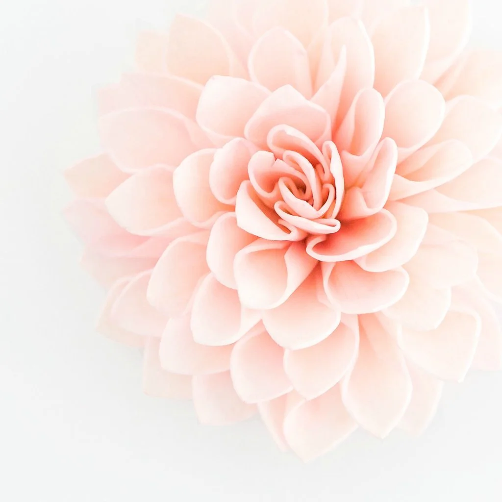 Blush, Pink & White Wedding Package: $2,800