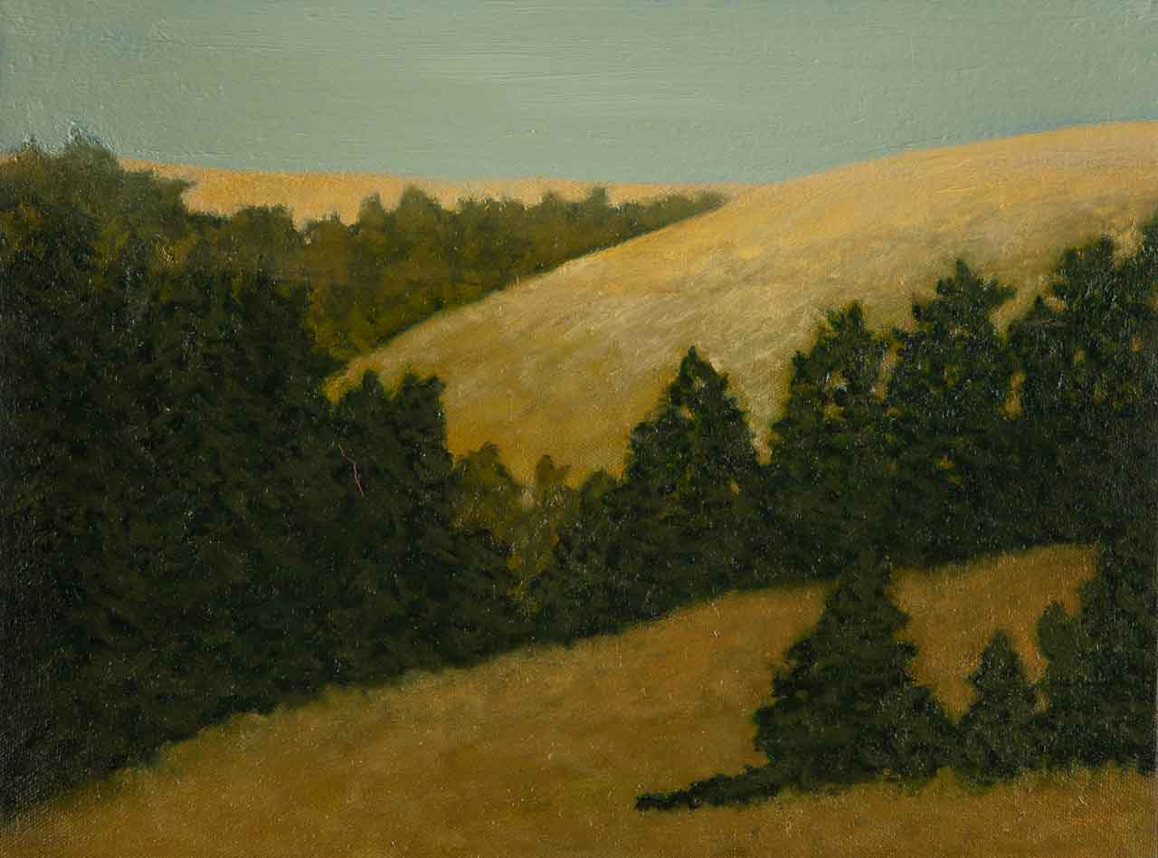 "Redwoods in Marin County"