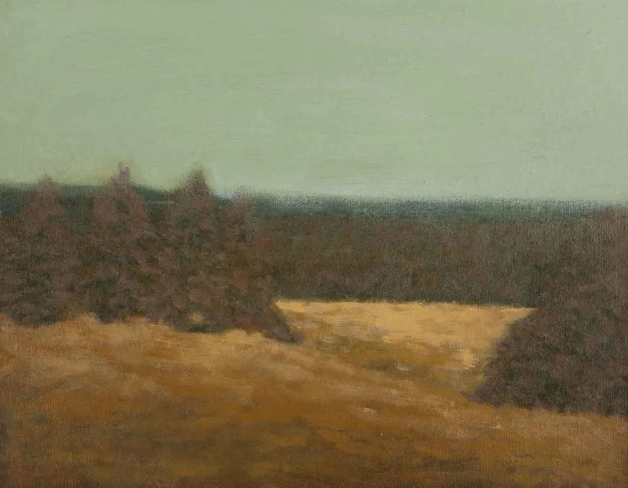 "Lower Pasture"