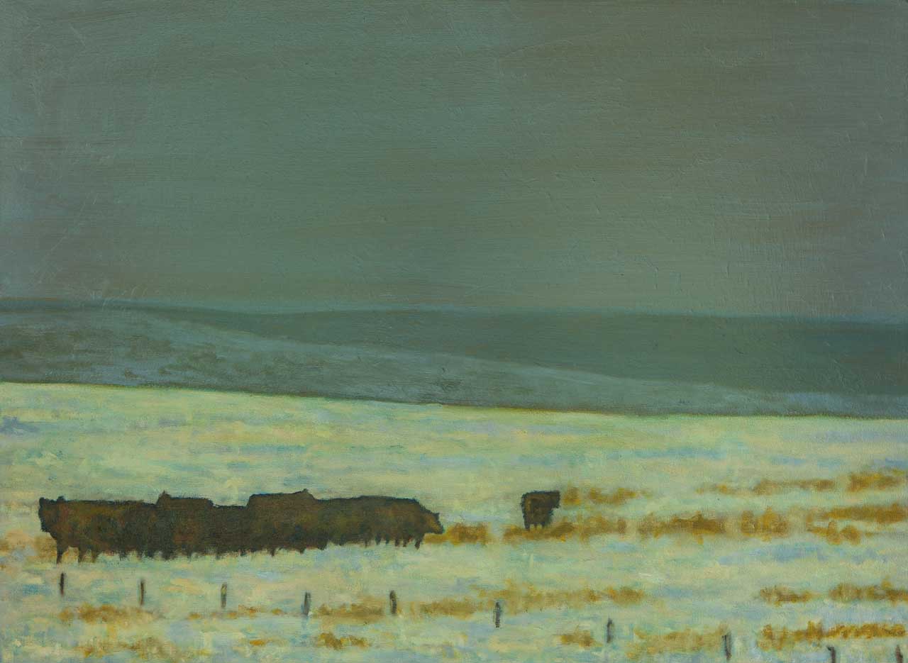 "Cattle on the Front Range"