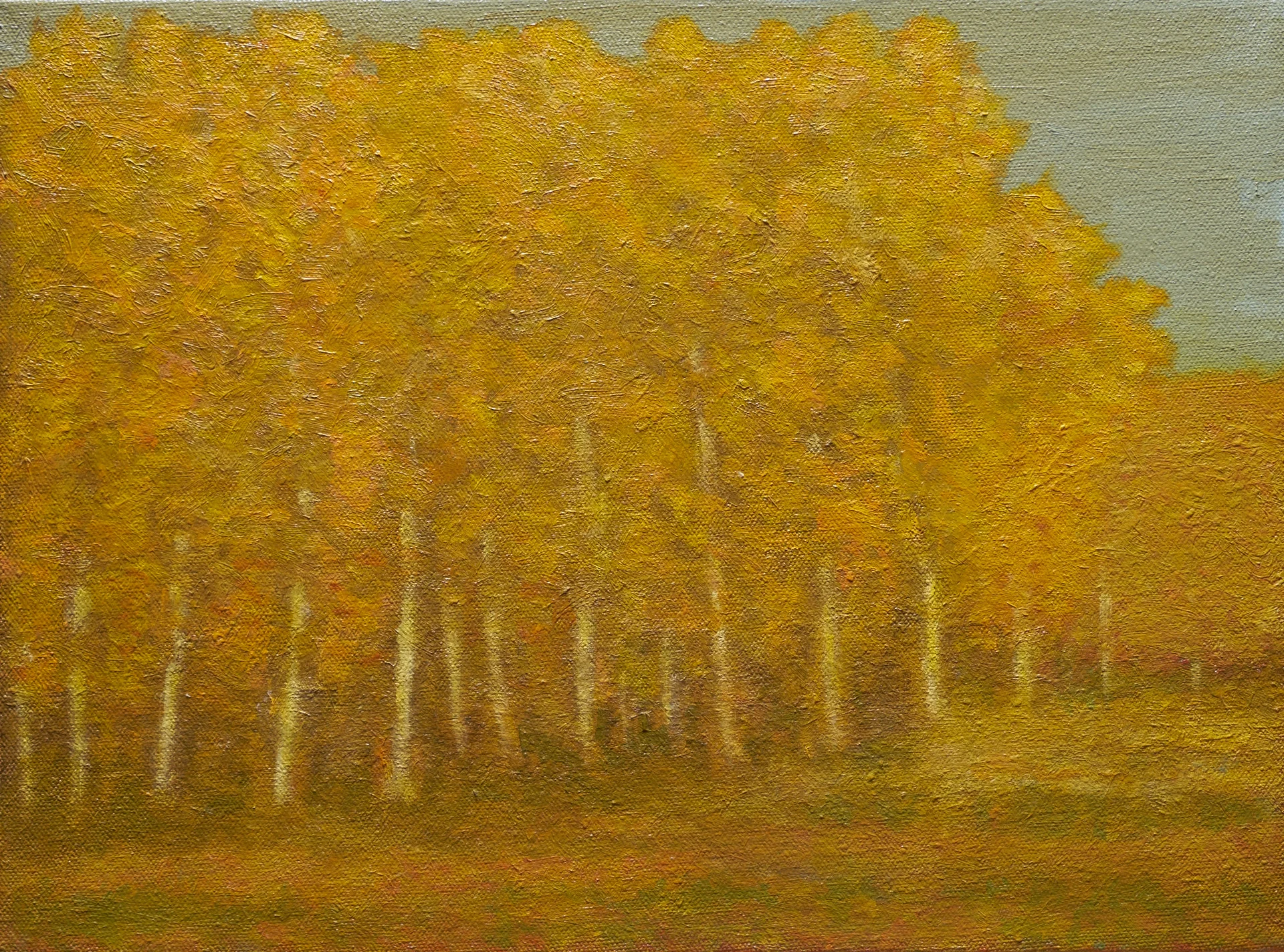 "Aspens"