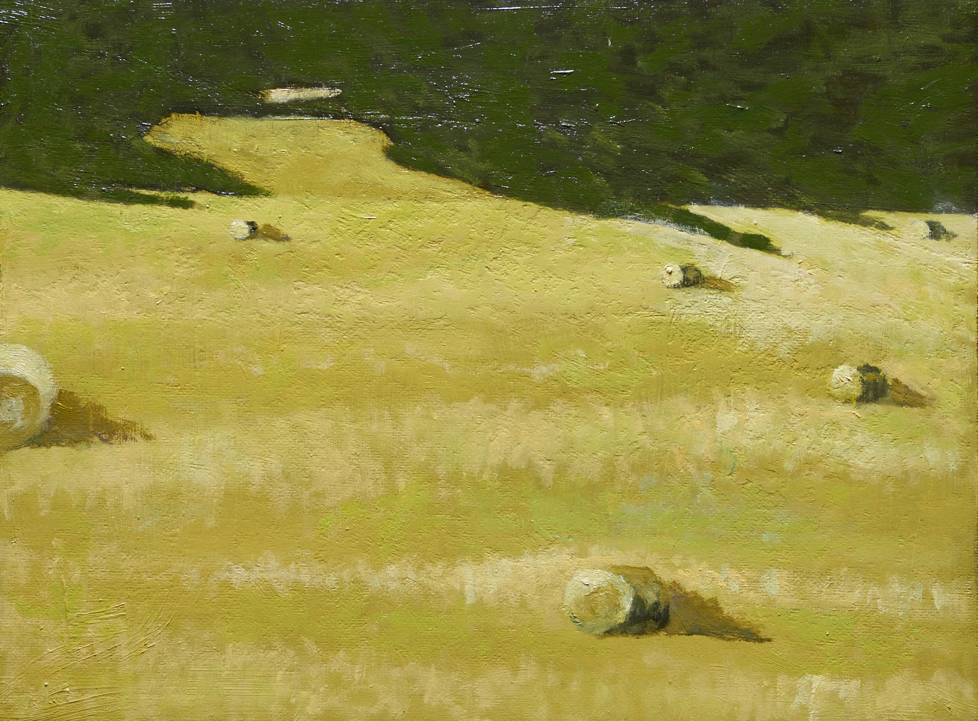 "Field Near Priest Lake"