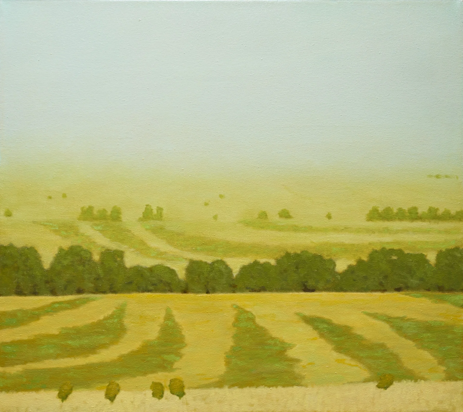 "Hayfields at Sunrise"