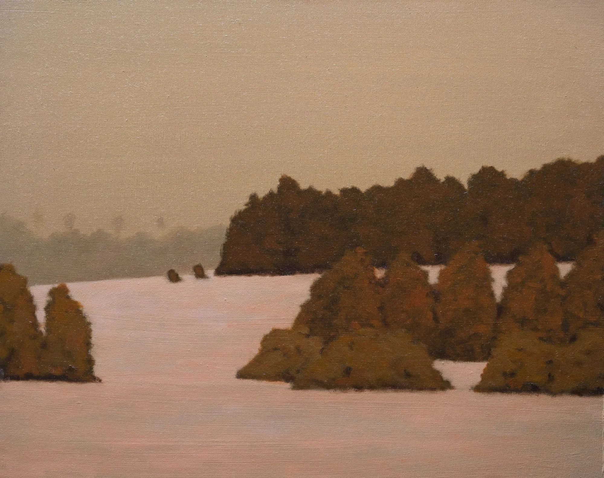 "Winter Evening"