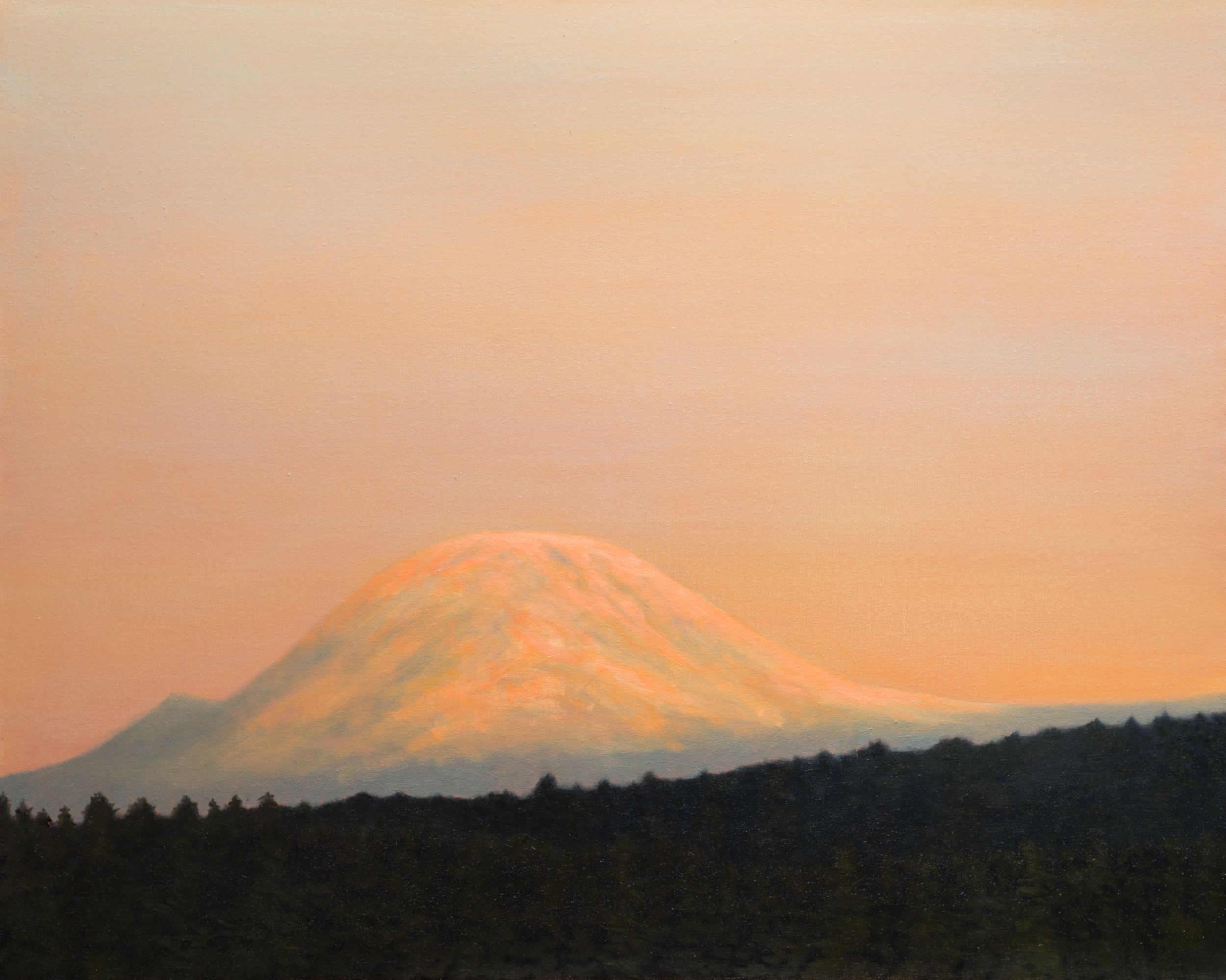 "Mt Rainier"