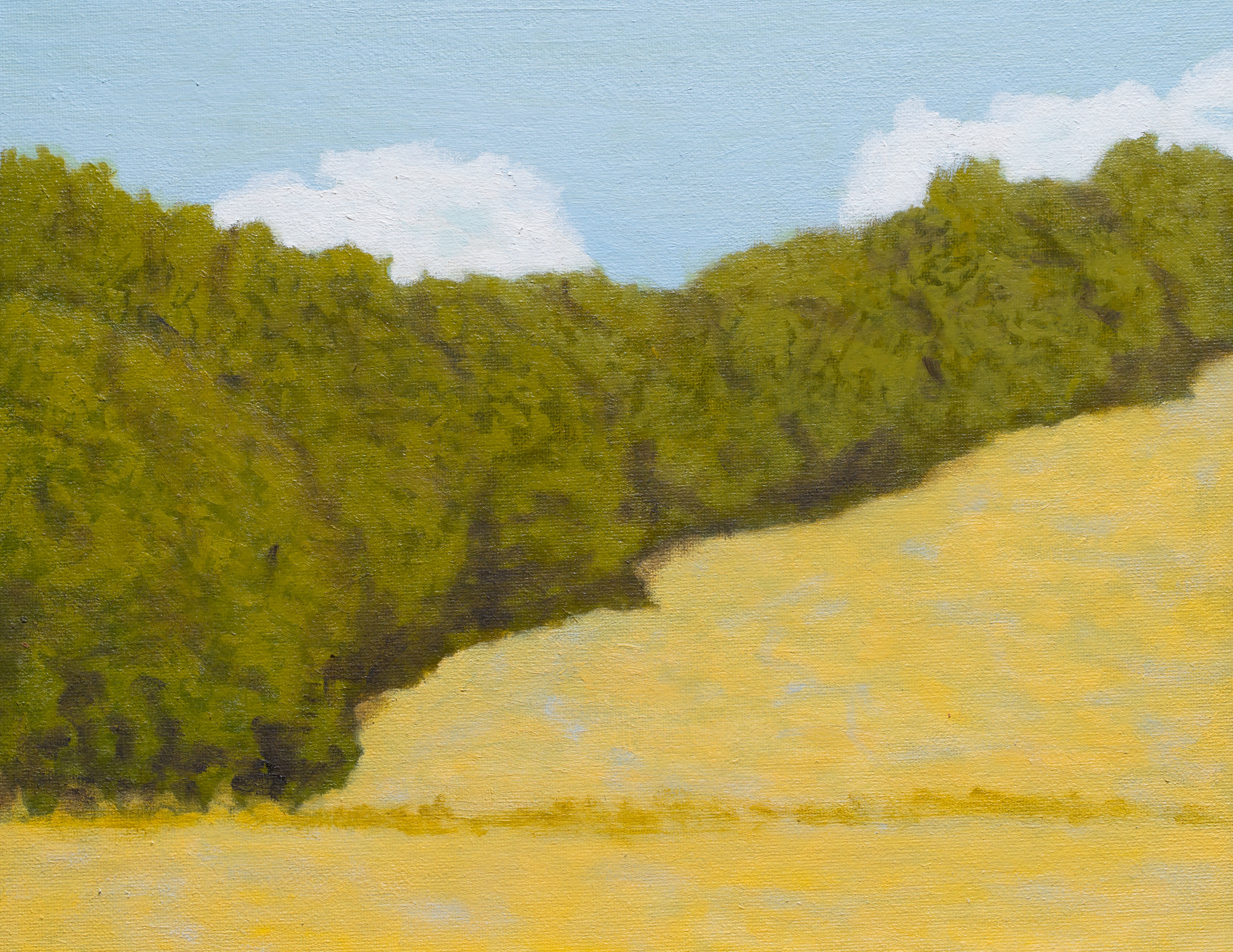 "Hillside, Marin County"