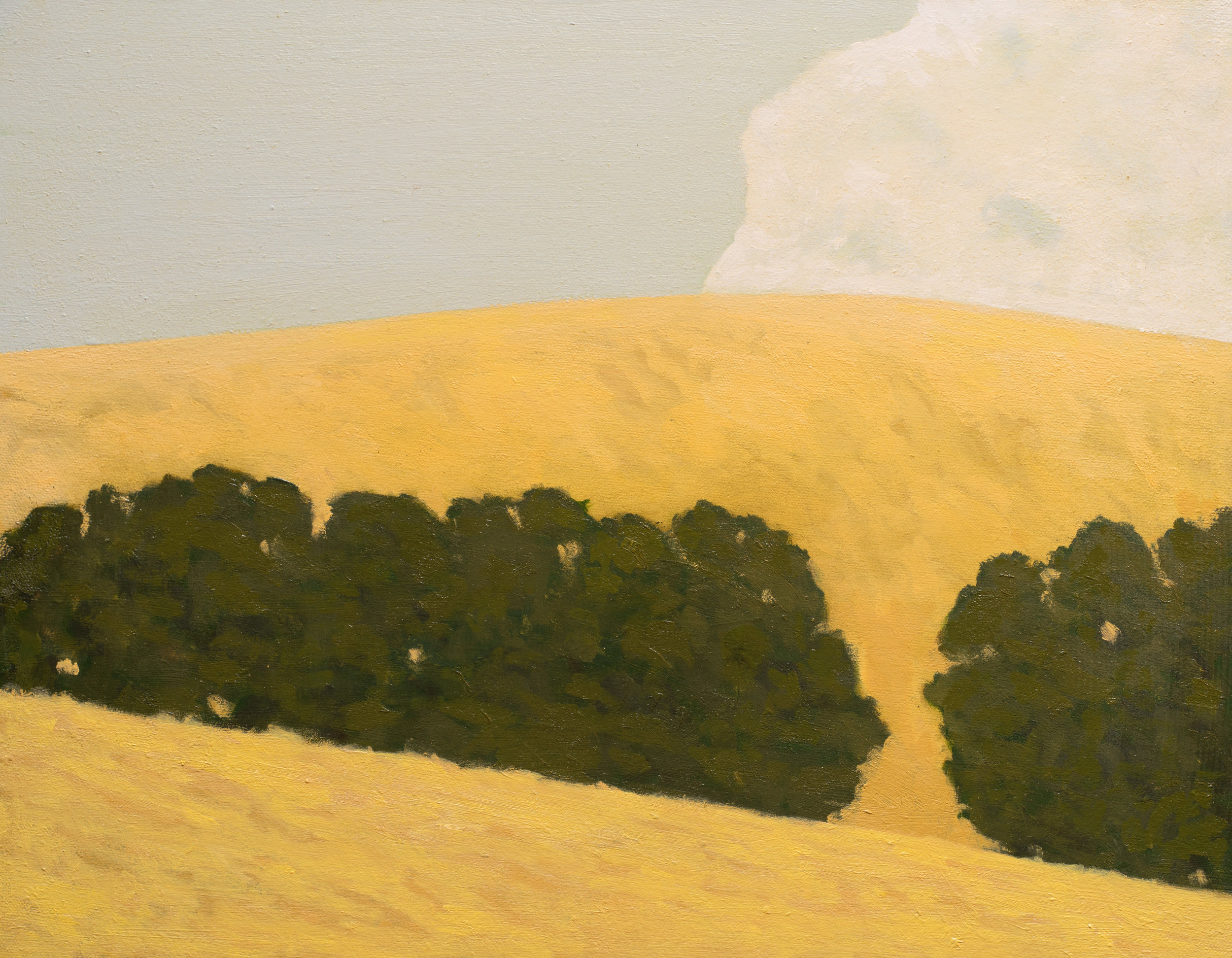 "Live Oaks, Santa Ynez Valley"