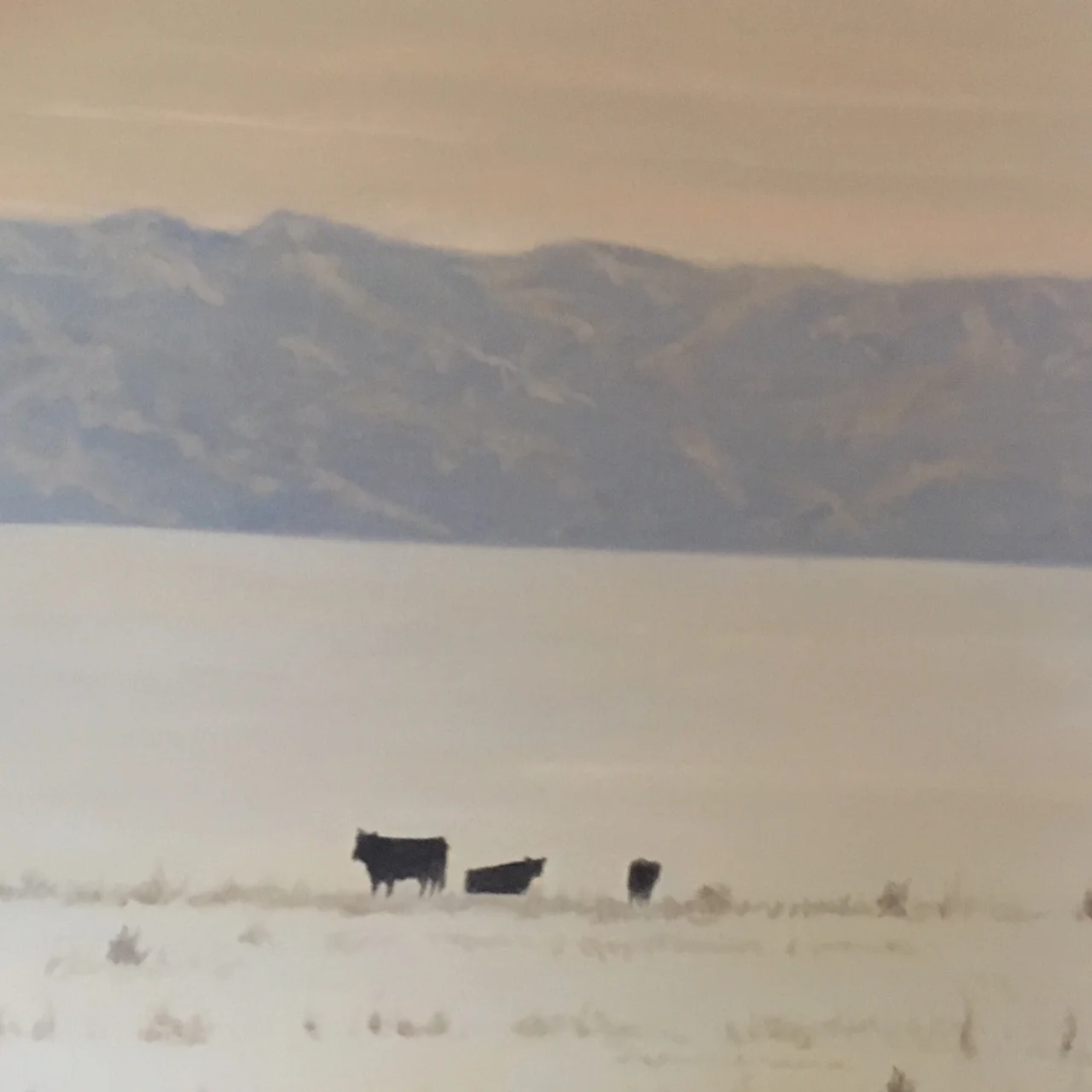 "Twenty Below"