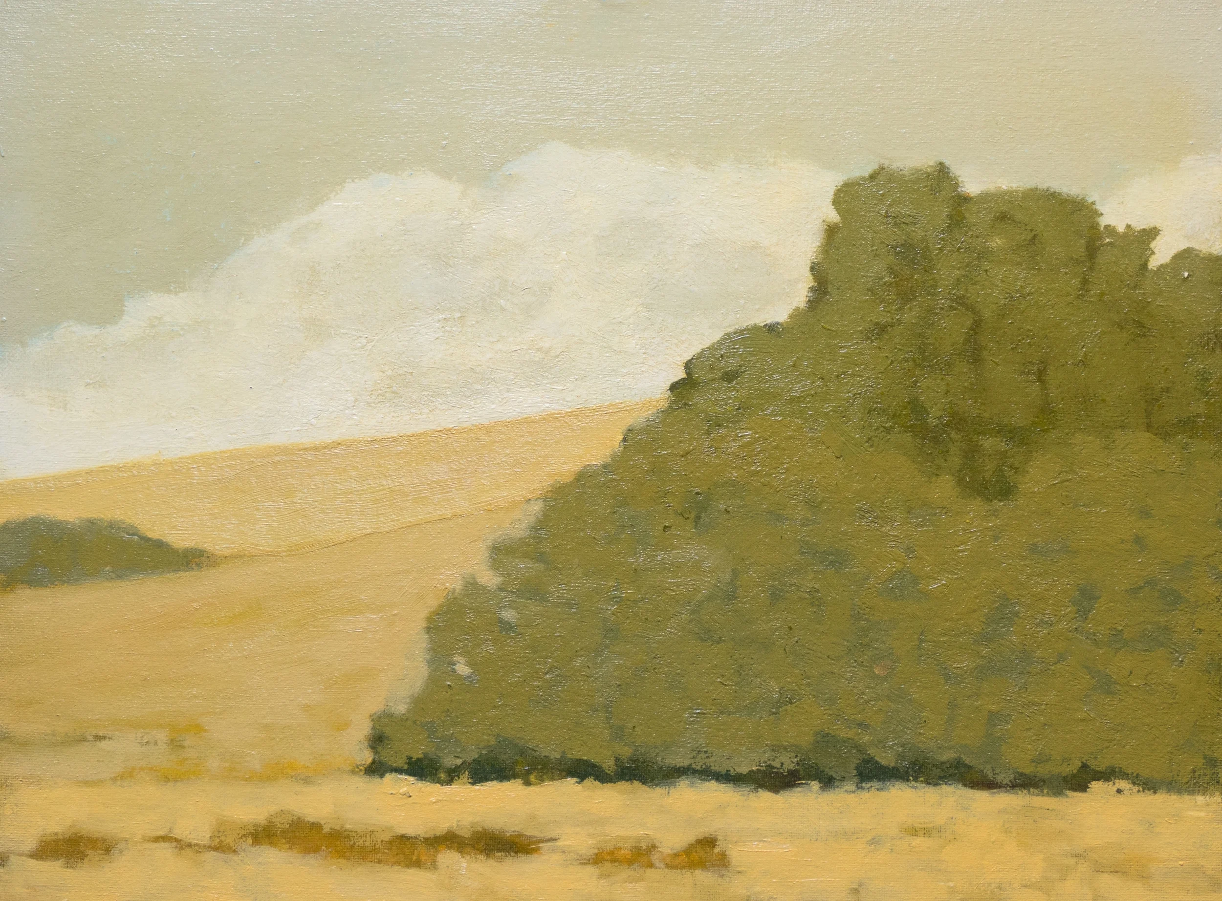 "Lower Pasture, Gray Day"
