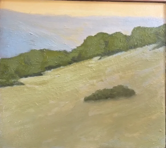 "Hillside Near Bozeman"