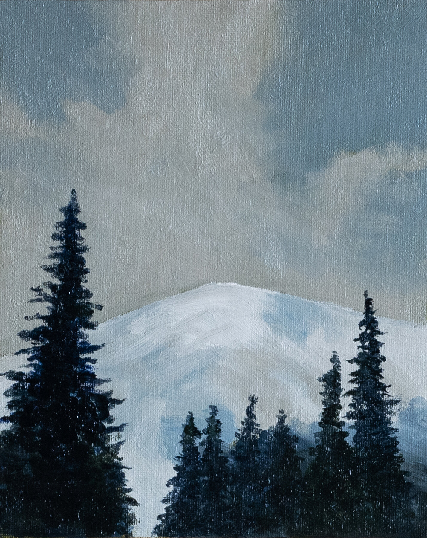 " Mt Rainier"