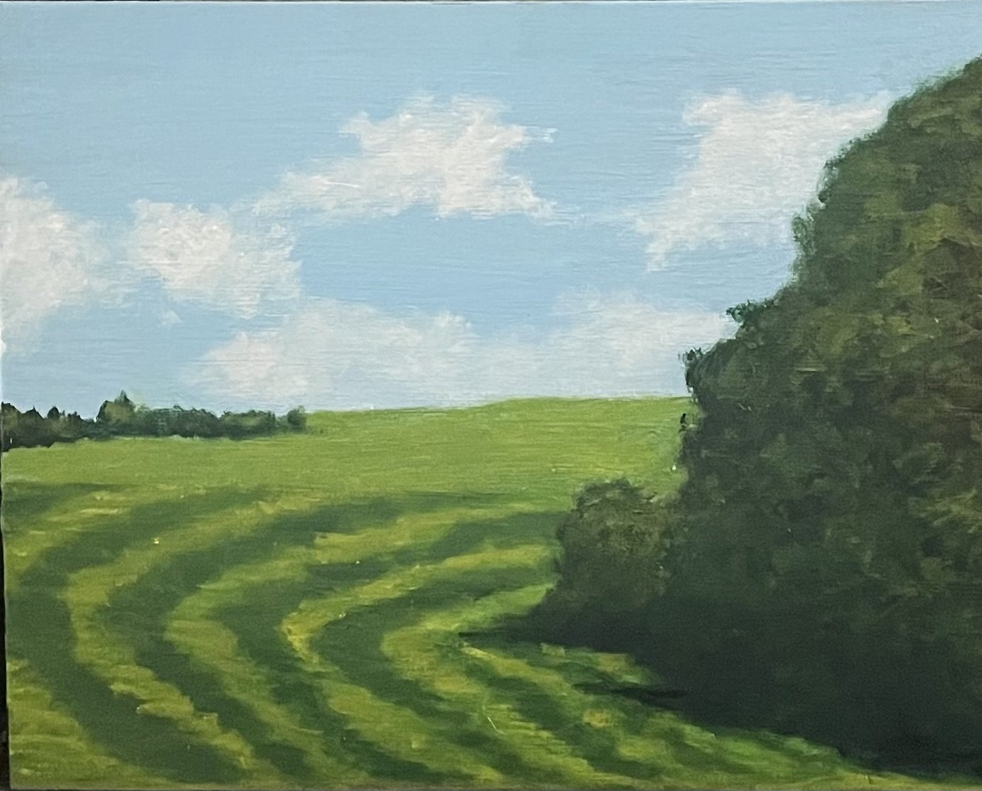 "Cita's Hayfield"