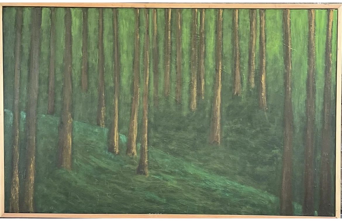 "Morning Light In A Fir Forest"